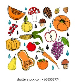 Set of different autumn vegetables and objects. Hand drawn colored vector image. Pumpkin, mushroom, apple, pear, carrot etc.