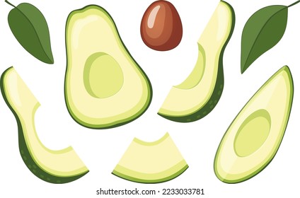 Set of different avocado slices with pit and leaves vector illustration