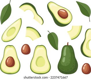 Set of different avocado slices with pit and leaves vector illustration