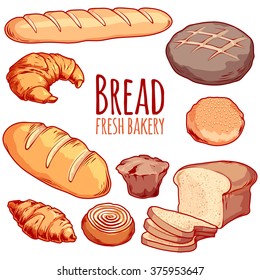 Set of different bakery. Bread, loaf, bun, muffin, croissant, bagel, etc. Vector cartoon illustration isolated on a white background.