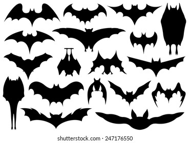 Set of different bats isolated on white