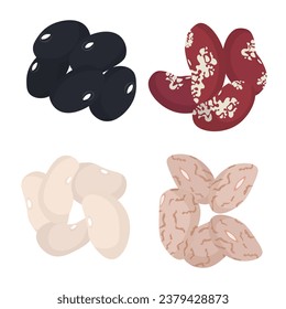 Set of different beans, black, red, white and pinto bean vector illustration