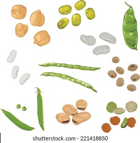 set of different beans on white background