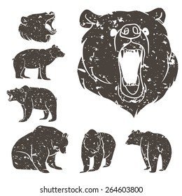 Set of different bears with grunge design. Vector illustration