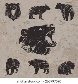 Set of different bears with grunge design. Vector illustration