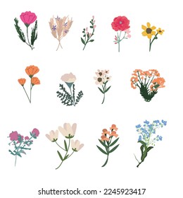Set of different beautiful bouquets with garden and wildflowers flat vector illustration.