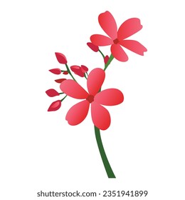 Set of different beautiful bouquets with garden and wild flowers vector flat illustration. Collection of various blooming plants with stems and leaves isolated on white.