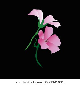 Set of different beautiful bouquets with garden and wild flowers vector flat illustration. Collection of various blooming plants with stems and leaves isolated on white.