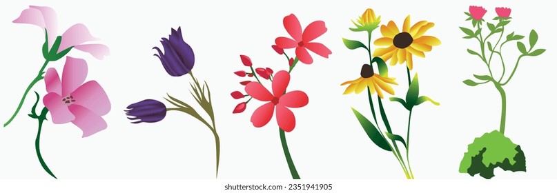 Set of different beautiful bouquets with garden and wild flowers vector flat illustration. Collection of various blooming plants with stems and leaves isolated on white.