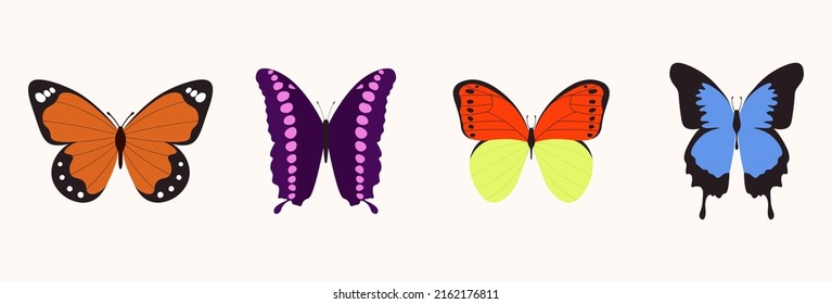Set Of Different Beautiful Butterflies Vector Illustration In A Flat Style