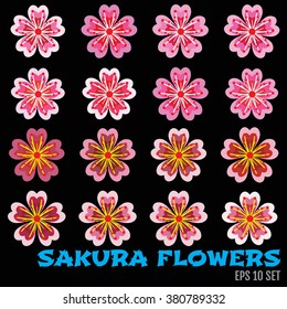 Set of different beautiful cherry tree flowers isolated on white background. Collection of pink sakura blossom - japanese cherry tree. Elements of floral spring design, vector.