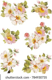 Set of different beautiful floral design elements Vector Illustration