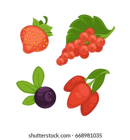 Set of different berries