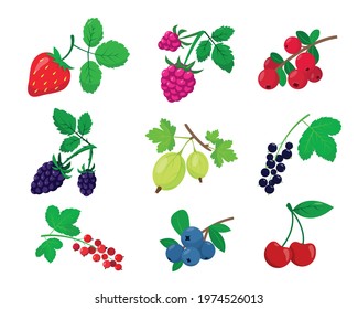 Set of different berries isolated on white background. Bright berry with leaves collection. Vector icons illustration.