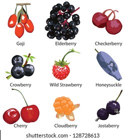 14,502 Chinese wolfberry Images, Stock Photos & Vectors | Shutterstock