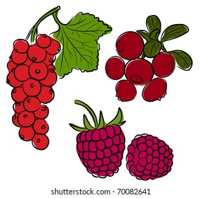 A set of different berries on a white background.