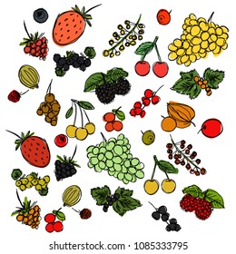 set of different berries painted in the style of children's drawing fast by hand, sketch vector graphics colored drawing