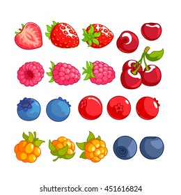 Set of different berries. Strawberry, cherry, raspberry, blueberry, cranberry, cloudberry and bilberry isolated on a white background.