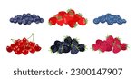 Set of different berry heap. Vector cartoon illustration of raspberry, strawberry, blueberry, cherry, bilberry and blackberry. Fruit flat icons.