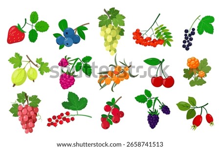 Set of different Berry icons isolated on  white background. Bright fresh juicy Berries with leaves collection. Vector cartoon or flat icons illustration. 