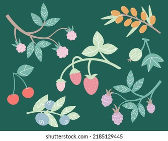 Set of different berry twigs. Natural food in flat style.