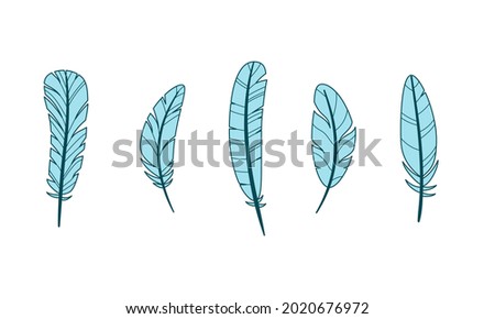 Set of different bird feathers. Color vector illustration of flat outline style. White isolated background.