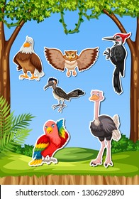 Set of different bird sticker illustration