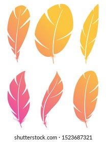 Set of different bird wing feathers. Color flying quills symbols. Vector image. Isolated on white background.