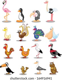 Set of different birds