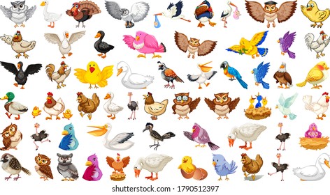 Set of different birds cartoon style isolated on white background illustration