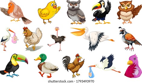 Set of different birds cartoon style isolated on white background illustration