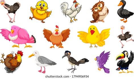 Set of different birds cartoon style isolated on white background illustration