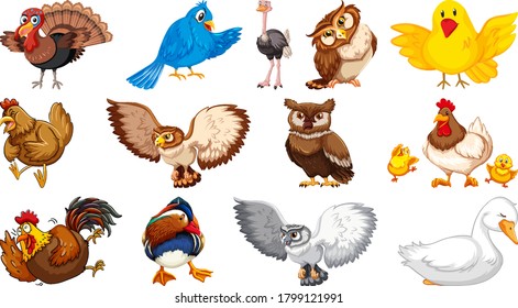Set of different birds cartoon style isolated on white background illustration