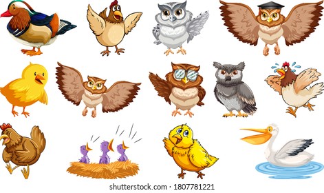Conjunto de diferentes dibujos animados de aves aislados en la ilustración de fondo blanco