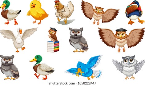 Conjunto de diferentes dibujos animados de aves aislados en la ilustración de fondo blanco
