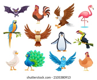 Set of different birds in cartoon style