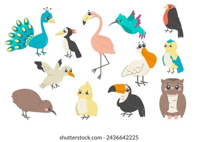 set of different birds, a childish illustration, with names. spring, exotic birds.