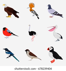 Set of different birds color flat icon for web and mobile design