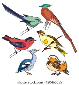 Set of different birds. Colorful illustration.