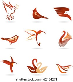 Set of different birds icons