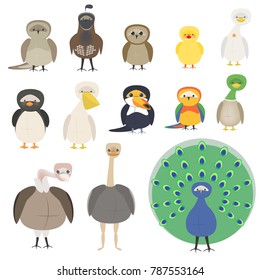 A set of different birds. A parrot, a penguin, a sparrow, an owl, a pelican, a toucan, a peacock. 