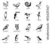Set of different birds silhouettes from various living environment with titles flat isolated vector illustration