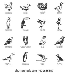 Set of different birds silhouettes from various living environment with titles flat isolated vector illustration