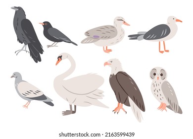 Set of different birds, vector doodle illustration, raven, swan, owl, eagle, pigeon, duck, seagull, blackbird