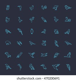 Set of different birds. Vector line icons