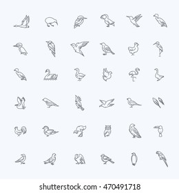 Set Of Different Birds. Vector Line Icons