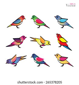 Set of different birds,bird vector illustration.    