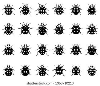 Set of different black ladybugs on a white background