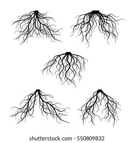 Set Different Black Roots Underground Plant Stock Vector (Royalty Free ...