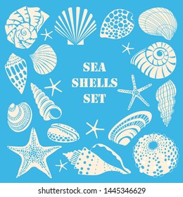 Set of different black sea shells and starfish. White outline on blue background